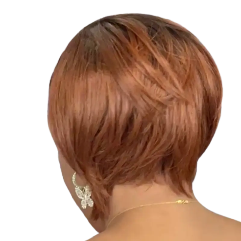 1010 - KRISSI Wigs LE' HOST HAIR & WIGS   