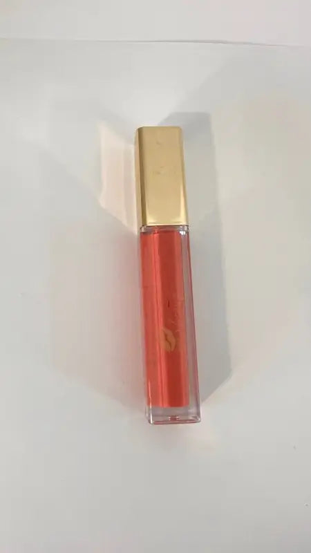 Lip Gloss Gold Label |45 Shades of Long-Lasting Shine - 24 - Anika - Makeup