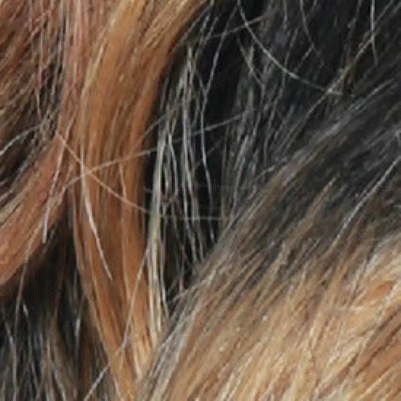 309 - WONDA Wigs LE' HOST HAIR & WIGS SOM RT Pecan  