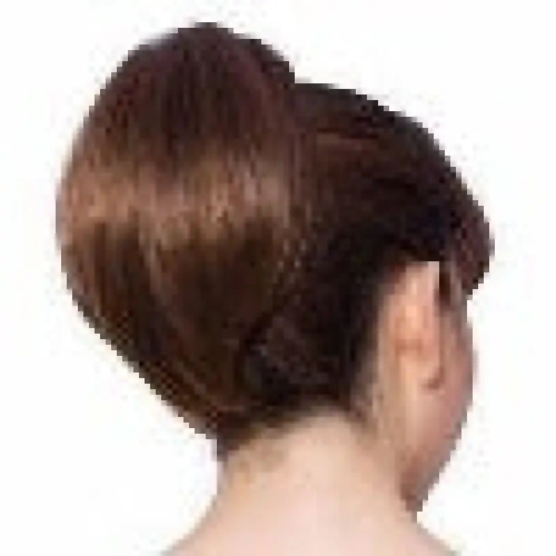    Elaine | Premium Synthetic High Ponytail Wig Wigs LE' HOST HAIR & WIGS