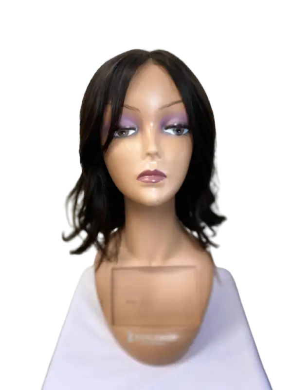    Luxury Hand-Tied Human Hair Lace Front Wig Wigs LE' HOST HAIR & WIGS