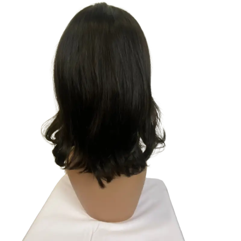    Luxury Hand-Tied Human Hair Lace Front Wig Wigs LE' HOST HAIR & WIGS