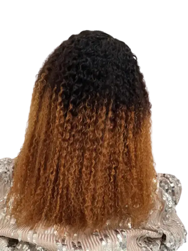    Ombre Afro Wig  | Bold & Beautiful Human Hair Curls wig LE' HOST HAIR & WIGS