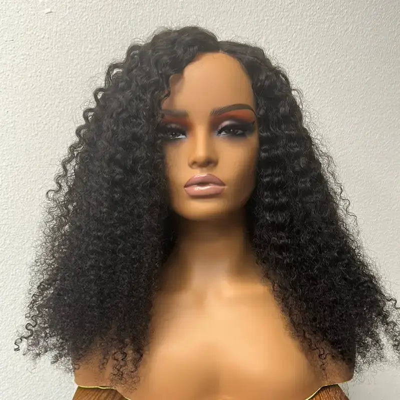 22   Afro Curly | Voluminous Afro Wig – Premium Human Hair for Bold Curls Wigs LE' HOST HAIR & WIGS