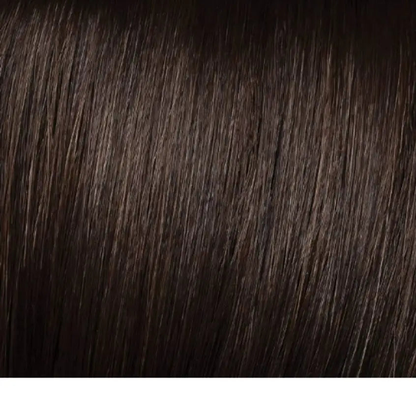 HAIRDO 18" HUMAN HAIR HIGHLIGHT EXTENSION CLIP-INS (1 PC) Hair Extensions LE' HOST HAIR & WIGS / Hairdo R6-Dark Chocolate  