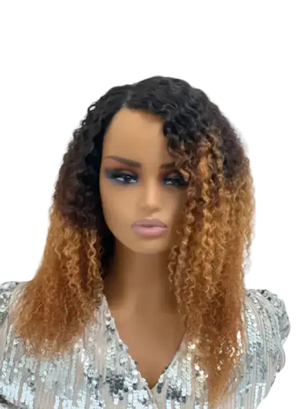    Ombre Afro Wig  | Bold & Beautiful Human Hair Curls wig LE' HOST HAIR & WIGS